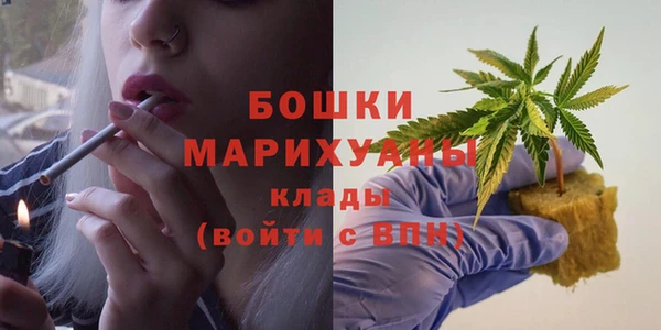 ПСИЛОЦИБИНОВЫЕ ГРИБЫ Навашино
