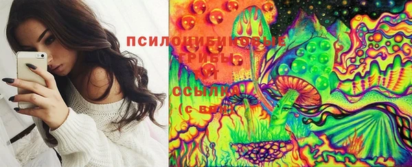 молекула духа Наволоки