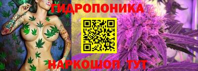 скорость Гусь-Хрустальный