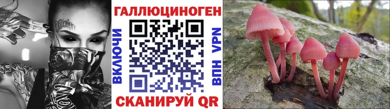 купить наркотик  Курган  Псилоцибиновые грибы ЛСД 