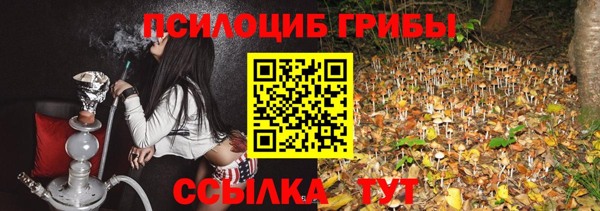 Псилоцибиновые грибы ЛСД Курган