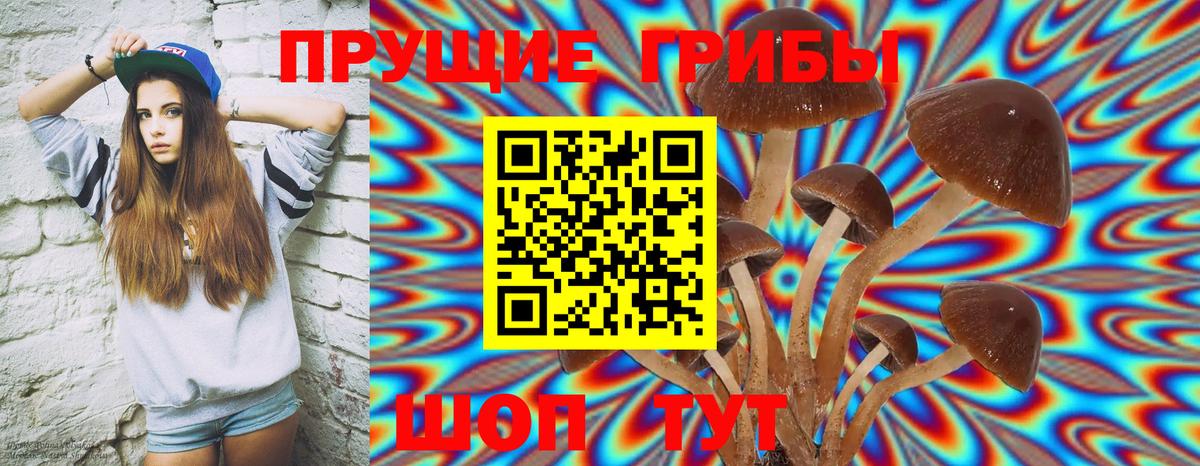Псилоцибиновые грибы ЛСД Курган
