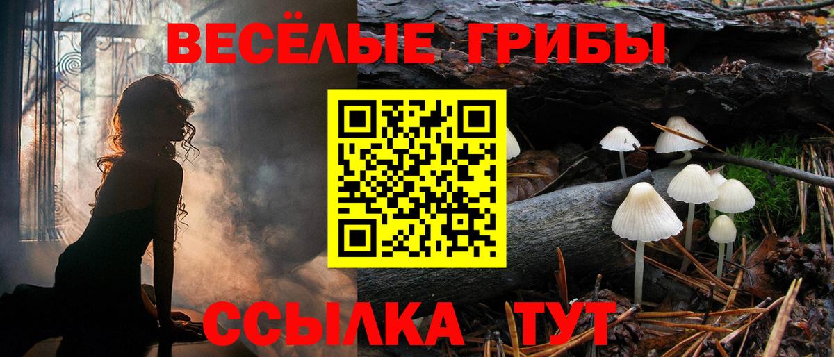 Галлюциногенные грибы мухоморы  Курган 