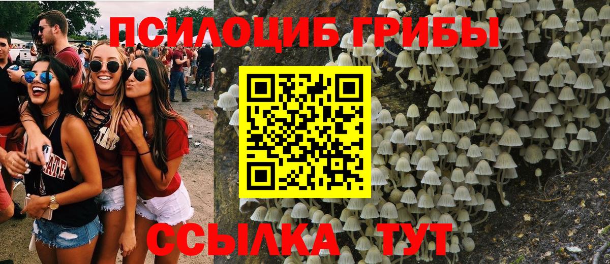 Псилоцибиновые грибы Psilocybe  Вход с VPN  где купить   Курган 